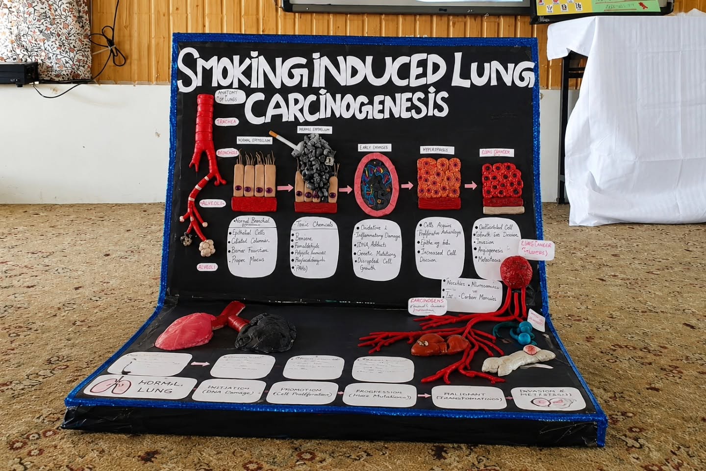 Cancer Awareness Symposium and Model Exhibition