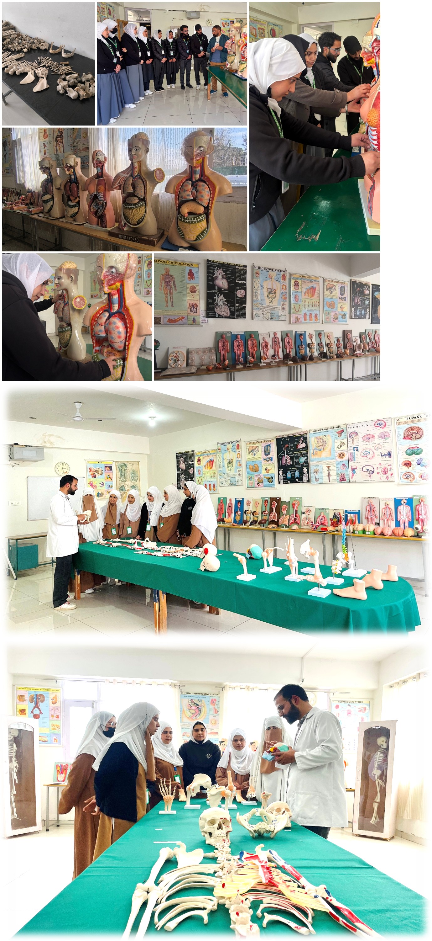 Anatomy and Physiology Lab